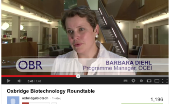 Video Marketing Projects